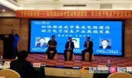 新闻爆料东莞最新消息,聚焦城市动态与热点事件